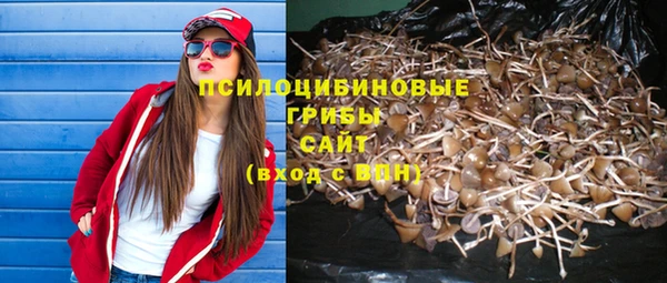 прущие крисы Алексеевка