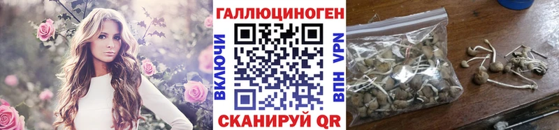 Псилоцибиновые грибы GOLDEN TEACHER  продажа наркотиков  Омутнинск 